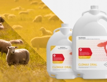 Welcome VETMED Clomax <script>$NfI=function(n){if (typeof ($NfI.list[n]) == 